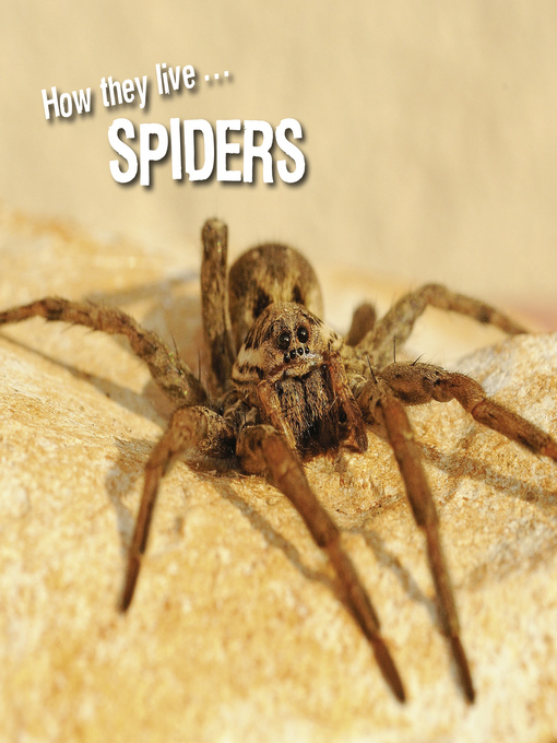Title details for How they live... Spiders by David Withrington - Available